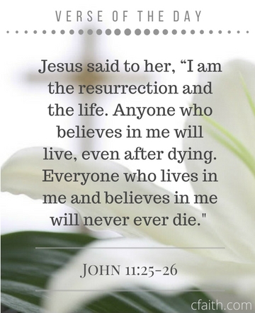 john11 2526 sidebox