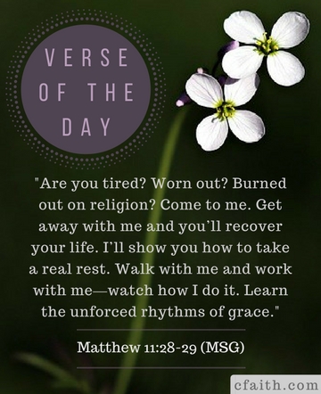 matt11 2829 sidebox