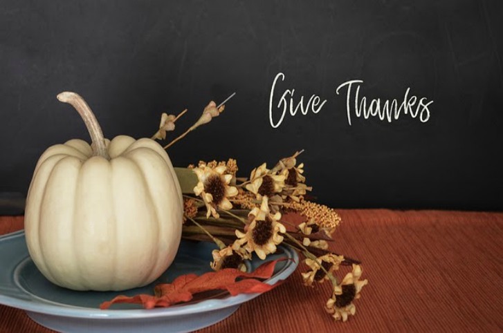 thanksgiving partner