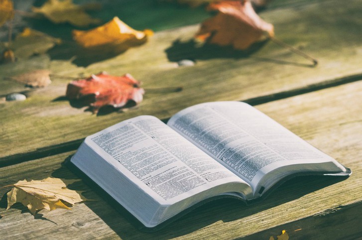 biblefallleaves