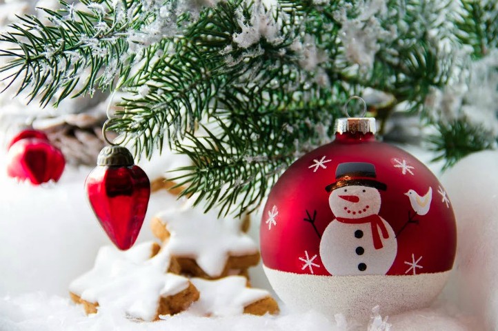 christmastreesnowcookiebulb
