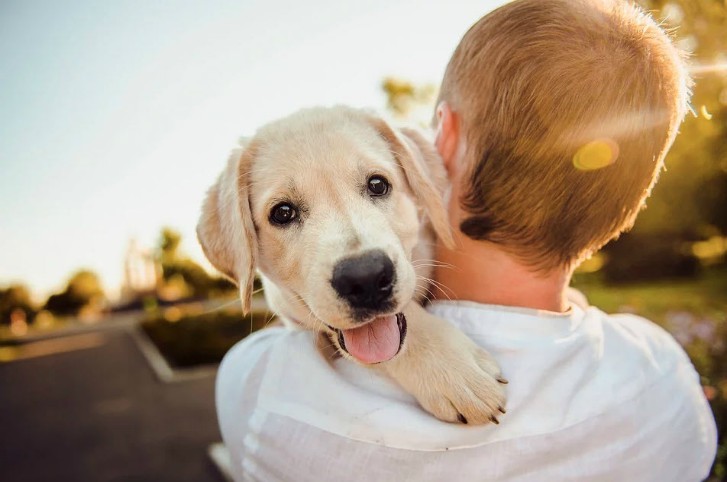 mandoghappy